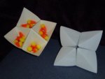 Photo of the Cootie Catchers filled and closed